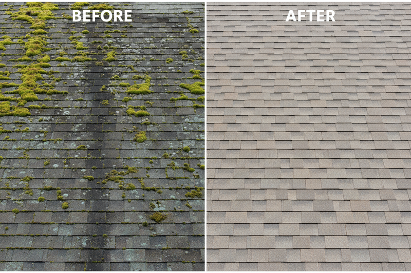 Roof Cleaning
